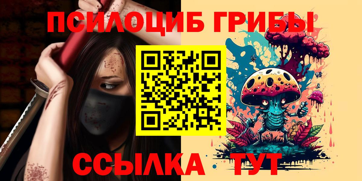 Шахты  Псилоцибиновые грибы мухоморы  Вход с VPN 